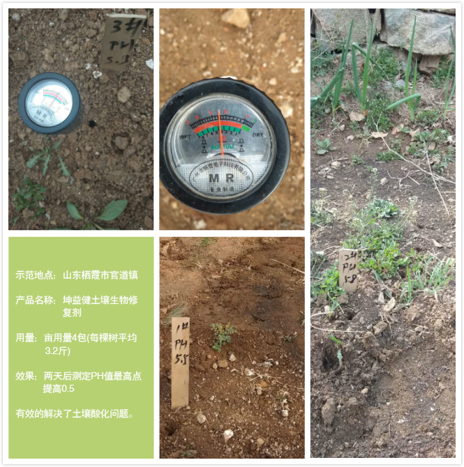 調酸對照.jpg
