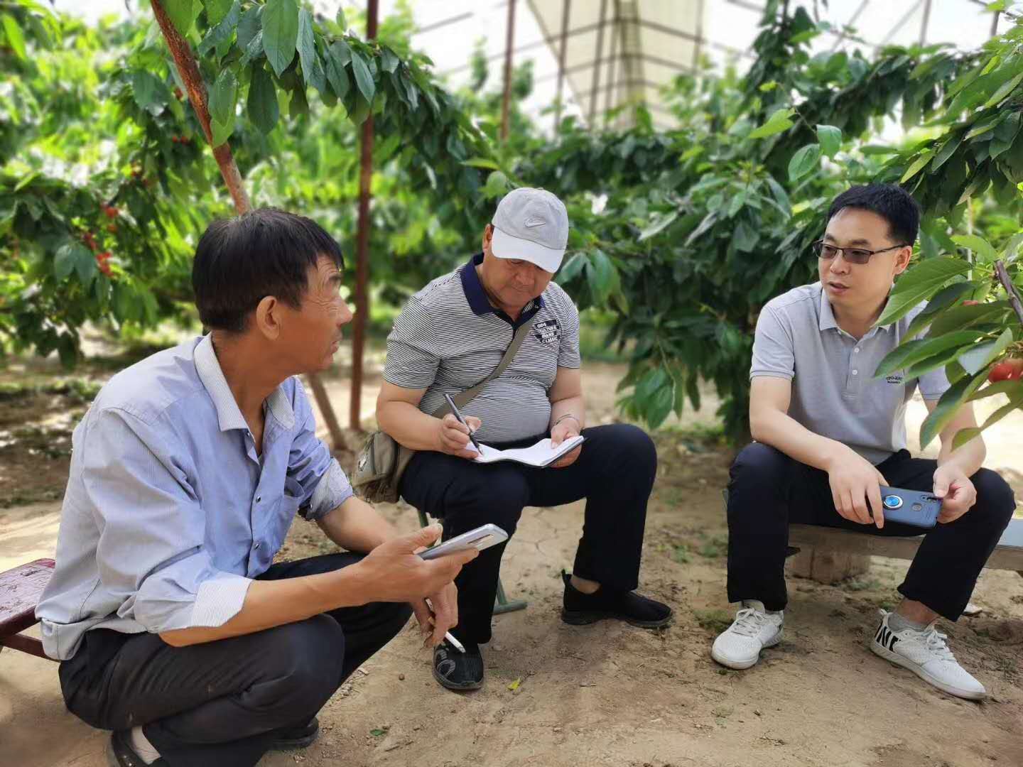 路老師和電視臺現場指導農戶照片.jpg