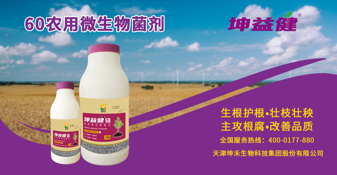 坤益健60產(chǎn)品海報banner.jpg